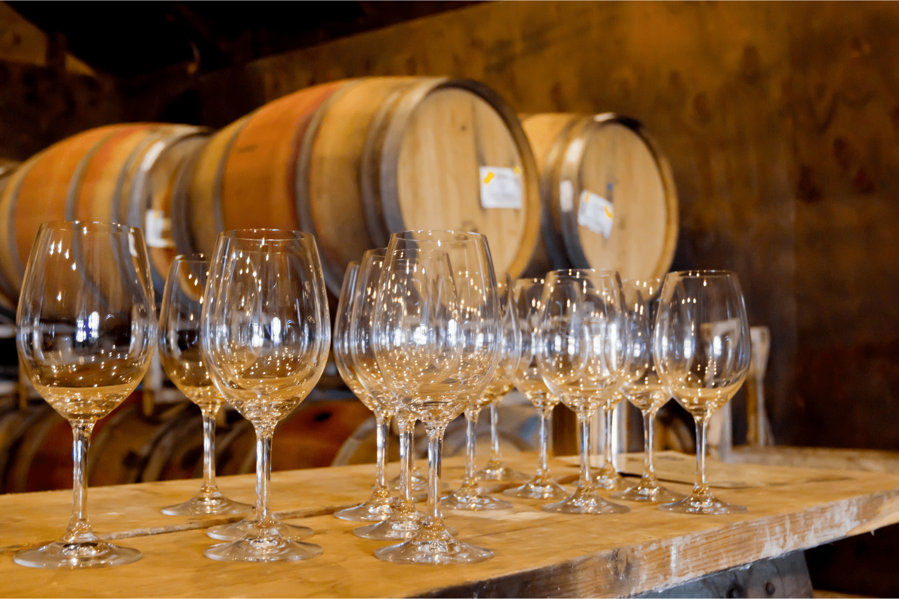 Magnum-wine-tour