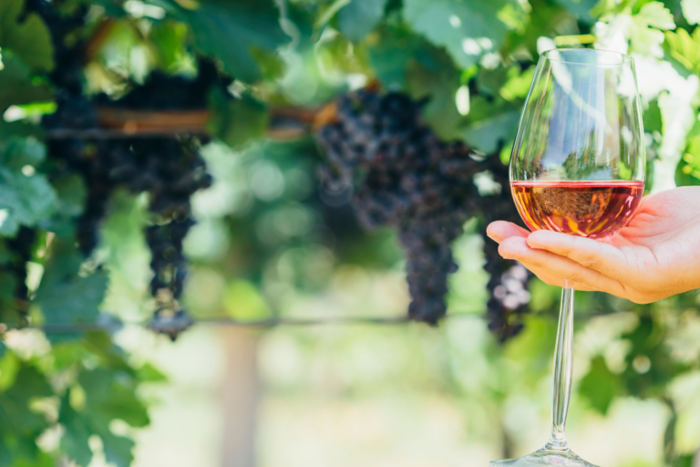 Private Vegan Wine Tour