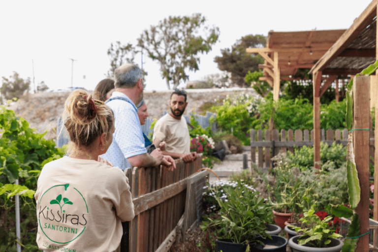 A group of visitors exploring a local farm in Santorini as part of their Santorini Island Tour and farm lunch experience. The image highlights a tranquil garden setting with vibrant plants, rustic wooden structures, and people actively engaging in learning about sustainable farming practices.