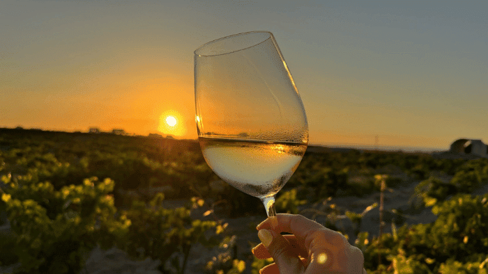 Why a Wine Tour is a Must Among the Top 3 Activities in Santorini